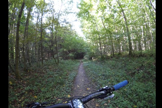 Xiaomi Yi Vergleichsfoto, Schatten und Sonneinstrahlung im Wald beim Biken